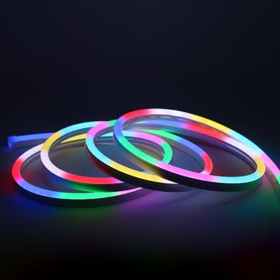 China Custom 12v 24v Multi Color Cable Silicone Cable LANDSCAPE Flexible Strip Bedroom Decoration Silicone Tube Led RGB Neon Lights for sale