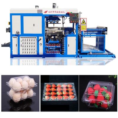 China Full Automatic Plastic Hotels Vacuum Forming Egg Carton Tray Making Machine for sale