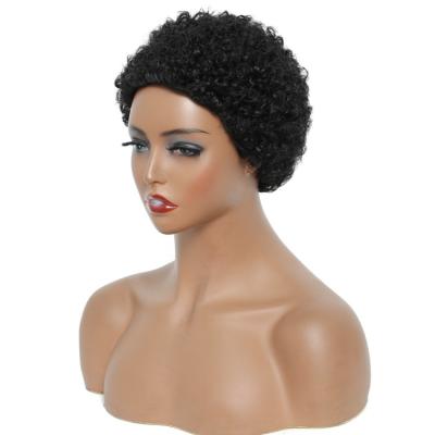 China Pure Original Natural Hair Wanda Pixie Cut Wig Short Curly Human Hair Wigs Cheap 13X1 Transparent Lace Afro Pixie Lace Front Wig For Women for sale