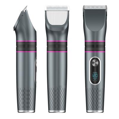 China Outdoor Professional Waterproof Cordless Portable Rechargeable Clipper Hair Trimmer Clipper Set for sale