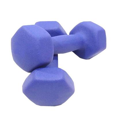 China Anti-Slip Custom Logo Fitness Equipment Home Exercise Sport 1 Kg RTS Buy Free Weight Cast Sets Cheap Neoprene Hex Dumbbell for sale