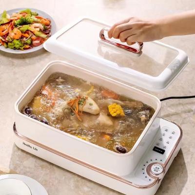 China Top Quality Rectangular Electric Steamer Easily Cleaned Best Selling Kitchen Appliance in 2022 for sale