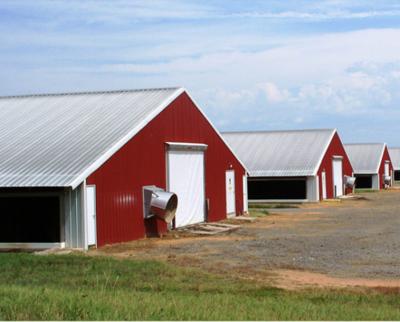 China Cheap Prefab Farms Steel Frame Chicken Shed Poultry Farm Housing Construction Chicken Farm House for sale