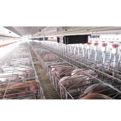 China High Feeding Efficiency New Design Pigsty House Sheep Barn Goat Farm Sheds/Cow Steel Frame Pig Farm House for sale