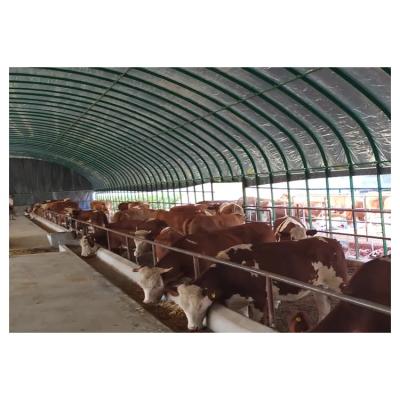 China Low Cost Modern Modern Piggery Sheep/Goat/Cattle/Steel Dairy Barn Shed House Steel Cow Barn for sale