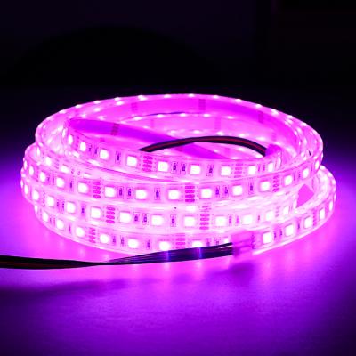 China DC12V theme park waterproof white PCB RGB 5050 led strip light for decoration for sale