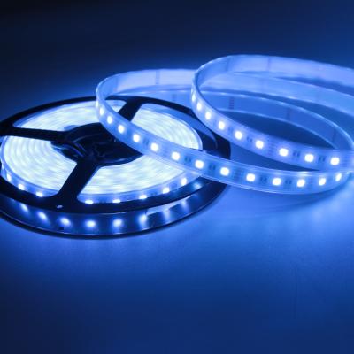 China LED 5050 LANDSCAPE 12mm 60 smd 4 in 1 pixel 365nm uv led strip rgbw 12v for sale