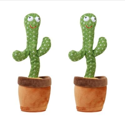 China Kids Gift Dancing Cactus Toy 120 Songs Singing Disc Talking Repeat What You Say Electric Cactus for sale