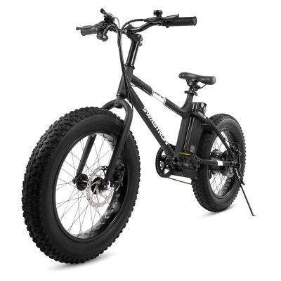 China Aluminum Alloy E Bike 350W Motor Power Assist 20inch fat Tires Wheel  Removable 36V Lithium  Battery Electric Bike 7-Speed Montian Bike city for sale