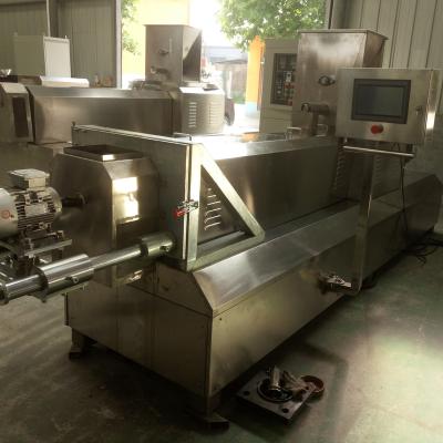 China Vegetable processing plant HN 95 twin screw food machine small food machine fried food puffing machine for sale