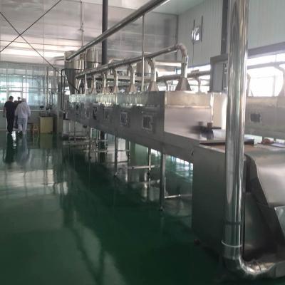 China Snack Plant Artificial Nutrition Composite Rice Grain Broken Rice Processing Line for sale