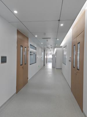 Chine Porte oscillante de salle blanche en bois en acier à grain double Porte métallique d'hôpital avec vision en verre à vendre