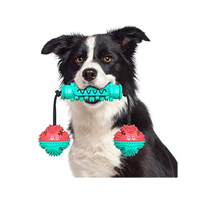 China Sustainable Sale High Quality Natural Rubber Factory Interactive Teeth Cleaner Chewing Toys For Dog for sale