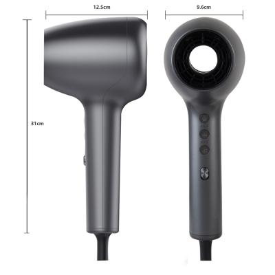 Cina 2020 New Arrivals Private Label Negative Ion Hair Dryer Salon Equipment Negative Ion Hair Blow Dryer in vendita