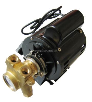 China Add Pressure Rotary Vane Water Pump B125F for sale