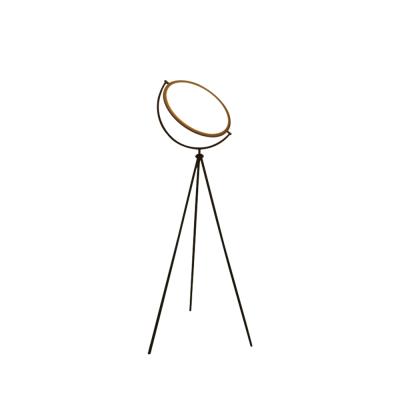 China Nordic Luxury Smart Modern Black Standing Light Living Room Tripod Led Floor Lamp for sale