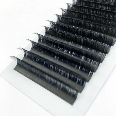 China Mink/Lash Trays Flat Person Ellipse Eyelashes Wholesale Private Label Premium Silk Ellipse Extension 6-25 mm for sale