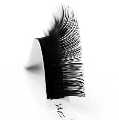 China Hot Selling Mink / Silk Black Flat Lashes Matte Ellipse Flat Soft Ellipse Person 0.10mm 0.15mm 0.20mm Flat Eyelash Extensions for sale