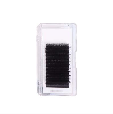 China Flat Mink Lashes Extensions / Silk Ellipse 0.10 0.15 0.20 Flat Eyelash Trays 6-25 Mm Volume Eyelash Extensions Supplies Customized for sale