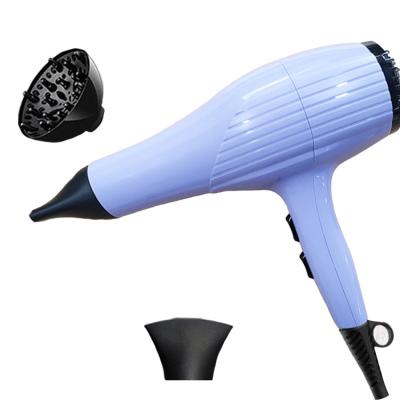 China Hot Selling Electric Flight Ionic Ion Professional Salon Hair Dryer Negative Stage Household Wall Mounted Hair Dryer One for sale