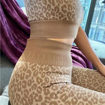 China OEM Women Breathable Seamless Yoga Sets Sexy Leopard Tracksuit Gym Wear Tank Tops Fitness Clothing Sports Running Suits for sale