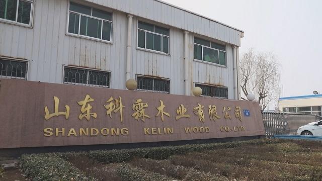 Verified China supplier - Shandong Kelin Wood Co., Ltd.