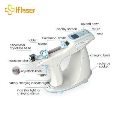 China Portable Water EMS Skin Care Removal Anti-hair Removal Portable Microneedle Meso Injector Frozen Mesotherapy Gun for sale