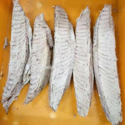 China Tuna Loins precooked frozen FROZEN - factory associate - for canning for sale