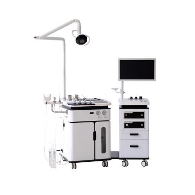 China 2021 New Design High Quality Metal ENT Unit with Chair and Endoscope Camera for sale