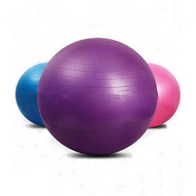 China PVC Vgb005 Ningbo Virson Yoga Pilates Gym Ball Set Exercise Partner Yoga Fitness Ball for sale