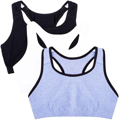 China Breathable Modern Minimalist Style Sports Invest Breathable And Comfortable Bra for sale