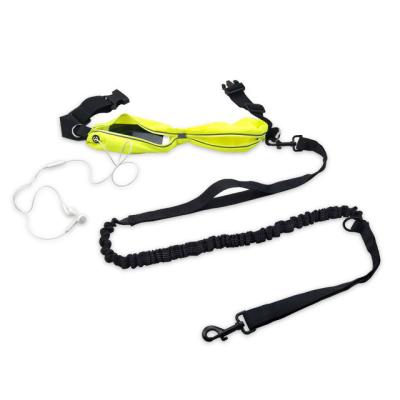 China Reflective Multi-Function Nylon Pet Double - Hand Holding Rope With Bright Elastic Dog Traction Set Of Hinder Leashes For Jogging for sale