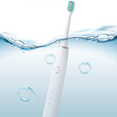 China 2 Minute Automatic Timer & 30 Second Interval Factory OEM Innovative Sonic Electric Toothbrush Ultrasonic Adult Private Label for sale