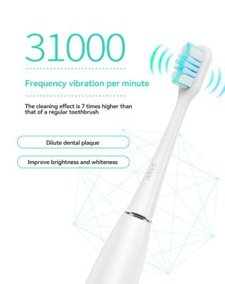 China Used for 60 days as fully charged by 2-4 hours. New 12 Modes Sonic Adult Toothbrush Adult Ultrasonic Vibration Fast Charging Electric Toothbrush for sale