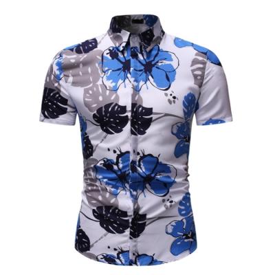 China Factory Outlet Summer T-shirt Cotton Breathable Short Sleeve Print Solid Color T-shirt for sale