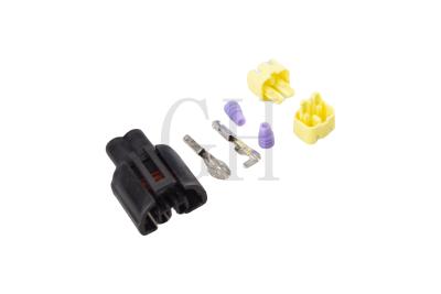 China Wechselstromkompressor Stecker Buick Ventil Stecker 2 Pins Buick Docking Frequenzumwandlungsventil zu verkaufen