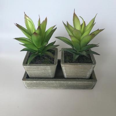 China Home Decor High Quality Artificial Succulents In Wooden Pot Garden Indoor Decoration for sale