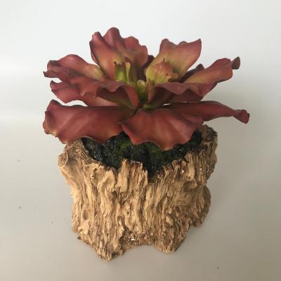 China Modern Artificial Succulents In Pot Red Color Wooden Bonsai Artificial Succulent Plant for sale