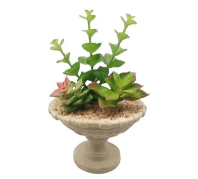 China Minimalist Artificial Plastic Succulents Bonsai Garden in Poly Resin Combine Succulents Potted Urn 22H15D for sale