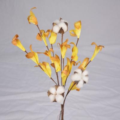 China Wholesale 50CM RTS natural shell cotton flower cotton flower decoration dry 5 per heads dried flower for sale