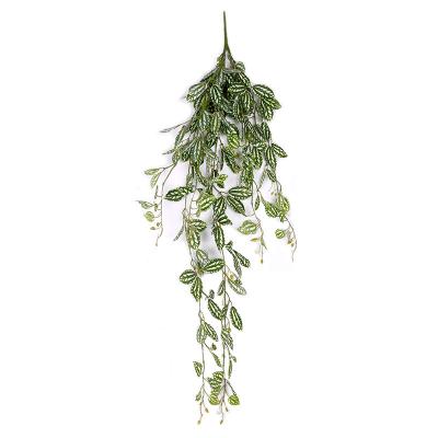 China Eco-friendly Artificial Flower Garland Notata de Pilea Wall Hanging Vine Vine Flower Arch for sale