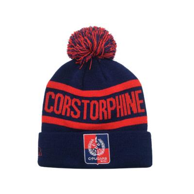 China New design JOINT jacquard logo knitted pom pom embroidery logo beanie hat for sale