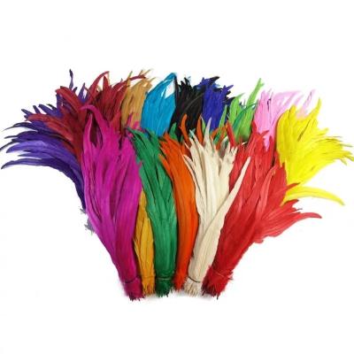 China ROOSTER Feather ZSY Factory Wholesale Selected 40-45 cm Bleached Dyed Rooster Tail Feathers for Carnival Costume and Samba Dance for sale