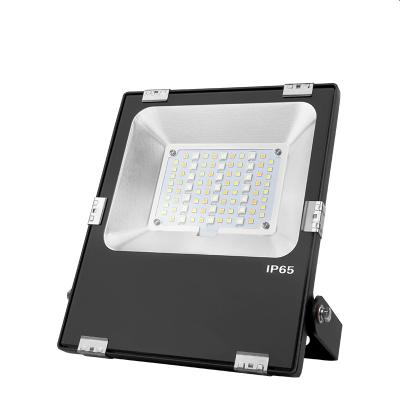 China Sports Stadiums 30W RGB LE TDC RGB Cool White Warm White RGBW Dimmable Outdoor Waterproof FUTT03 Floodlight for sale