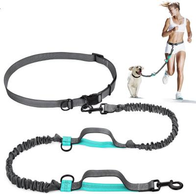 China Thoughtful Retractable Hands Free Dog Leash With Bungees Adjustable Dual Retaining Belt Thoughtful Spiking Leash for sale