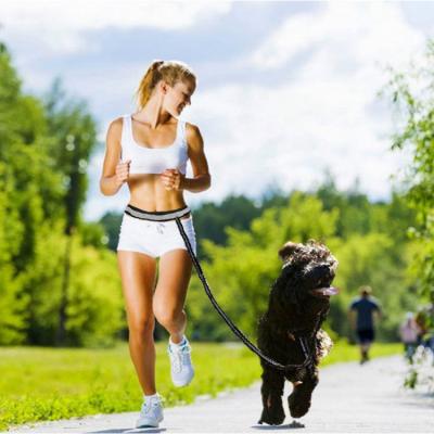 China Thoughtful Hands Free Dog Bungee Leash For Running Walking Training Raising With Adjustable Waist Pouch Bag for sale