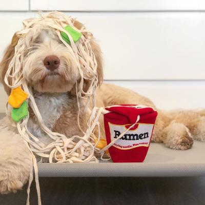 China Canbo Style Viable Custom Hot Ramen Sniffing Pet Food Leak Toy Interactive Cute Dog Puzzle Dog Sniffing Toy for sale