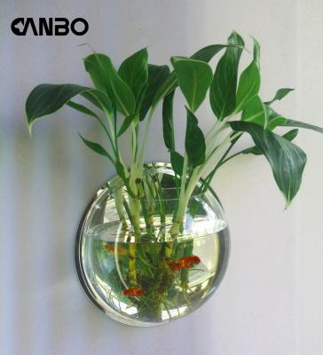 China Wall Mounted Decor Plant Viable Hanging Transparent Plastic Betta Fish Tank Aquarium Wall for sale