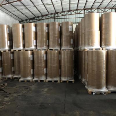 China 405mm 636mm 790mm Other Size Heat Sensitive Paper Roll Elephant Roll Custom Jumbo Roll Coil 1035mm for sale