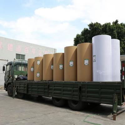 China Heat Sensitive Paper Reel 405/795/844/875mm Wide Other Paper Reel for sale